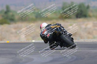 media/Oct-01-2023-SoCal Trackdays (Sun) [[4c570cc352]]/Turn 14 Backside (1120am)/